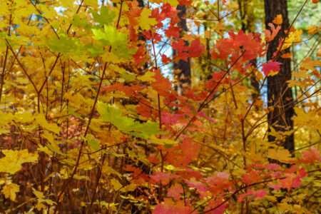 ???? The Best Things To Do in Sedona This Fall 2023 ???? things to do in sedona in Fall