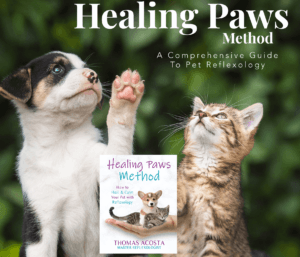 Healing_Paws