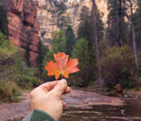 FALL BUCKET list feature photo LEAVE HAND