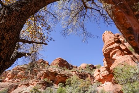 Boynton Canyon vortex trail in Sedona with red rock canyon walls and forest