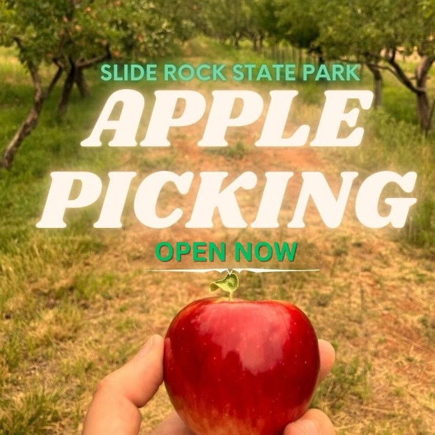 There’s something timeless about apples in Sedona. Long before the red rocks became a backdrop for Hollywood films, world-class art galleries, and luxury spas, the orchards along Oak Creek were the heartbeat of the valley. Generations of families grew, picked, and pressed apples here, building a tradition that still ripens every fall. Today, visitors can taste this living history with every crisp bite and golden sip.